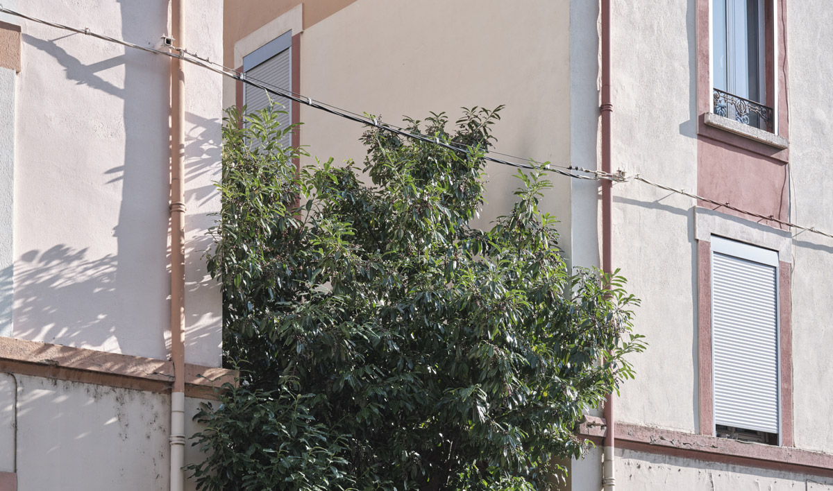 Les logements Mangini, ancêtres des HLM